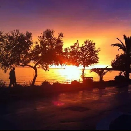 Marina 돈제페트레케인